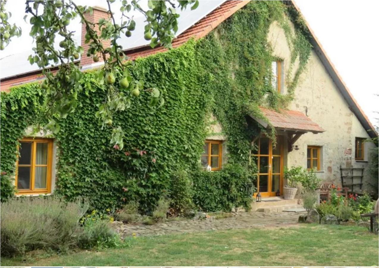 Haus Falkenhof Knüllwald Екстериор снимка